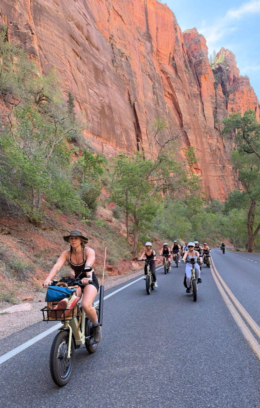 ITG team e-biking on the road through Zion National Park